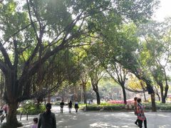 景点-惠州西湖