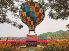-美的鹭湖森林度假区