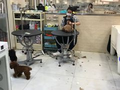 -多卡布奇宠物生活馆(上林世家店)