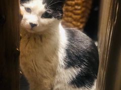 -宝宇大连海鲜渔港(金奎大厦店)