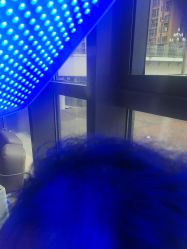 -碧莲盛·不剃发植发