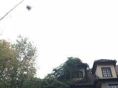 -福1039(愚园路店)