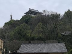 -贵阳市花溪国家城市湿地公园