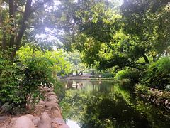 -成都市活水公园