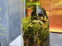 -1718海鲜姿造(苏宁宴请臻选店)