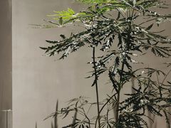 -二酉书店TOYOU BOOKS