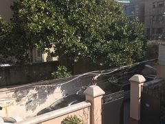 -上海市徐汇区口腔医院