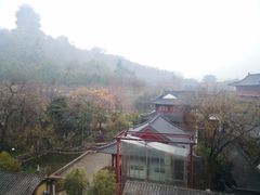 -七欣天香辣蟹火锅(南京建宁路大观天地店)