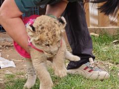 -鄂尔多斯野生动物园