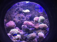 -南昌海洋公园