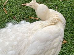 -昆明动物园