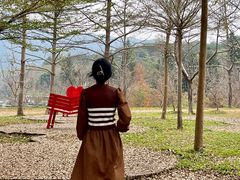 -田野绿世界