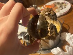 -韩京炭火烤肉自助料理(柯桥万达店)