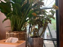靠窗位-卖花卖汤(荣祥广场店)