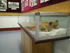 景点-李宗仁史料馆