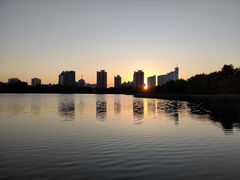 -莲花池公园