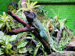 -上海海洋水族馆