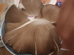 -刘一锅筋头巴脑(小北店)