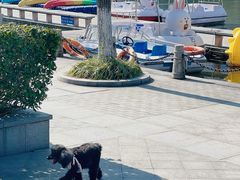 -杭州城北体育公园