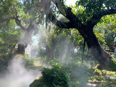 -Chom Cafe and Restaurant