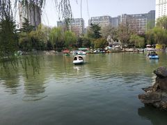 -西苑公园