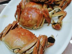 -常州环球恐龙城维景国际大酒店