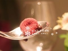 -蝶舍·MAISON PAPILLON