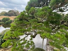 -水前寺成趣园