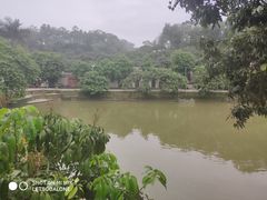 -满記土窑烧鷄波浪山莊