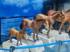 -吉林省自然博物馆