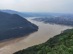 -铁山坪森林公园