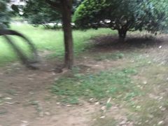 -溪口-滕头旅游景区