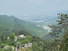 -大金鹰园