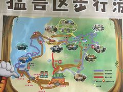 -西霞口神雕山野生动物世界