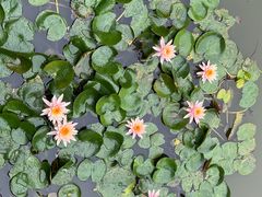 -一品烧农庄·佛山本地特色菜