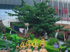 -灵玲国际马戏城