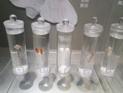 景点-太湖雪蚕桑文化园