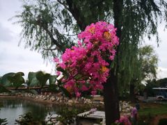 -威海华夏城景区