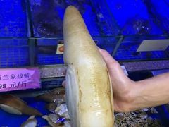 -青蓬蒸汽海鲜·深圳老字号·团建聚会(壹方城店)