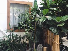 -拾壹cafe·工作室