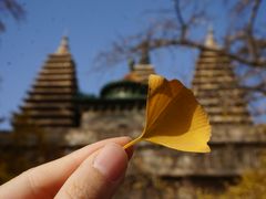 -北京石刻艺术博物馆(五塔寺)