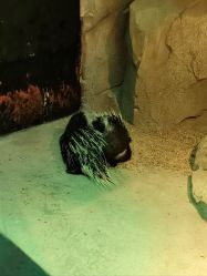 -酷嗒动物文化乐园(cutezoo西溪乐天城店)