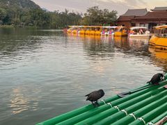 -星湖旅游景区七星岩