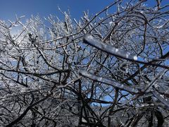 -黄山排云型旅酒店餐厅