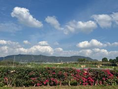 -光明小镇欢乐田园