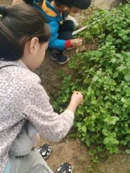 -麦粒鸟亲子游