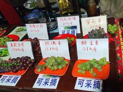 -马陆小张葡萄园农家乐