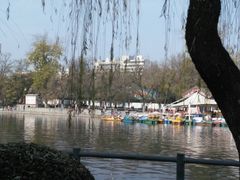-莲湖公园