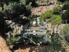 -华雅花园大酒店