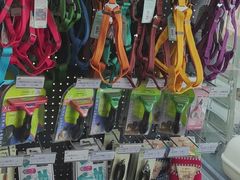 -萌兽医馆·眼科·异宠专科(三里屯店)